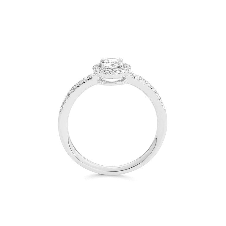 Solitario Acompañado con Orla en oro blanco 18K y Diamantes