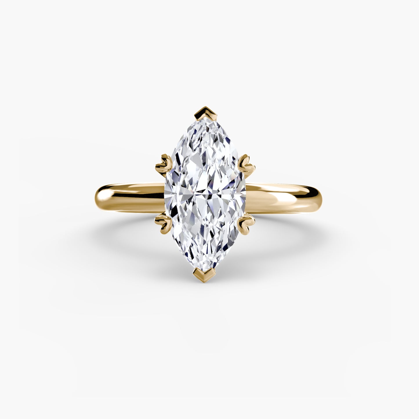 Anillo Nesi